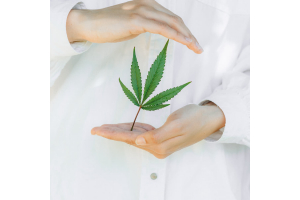 CBD Forschung und Ergebnisse