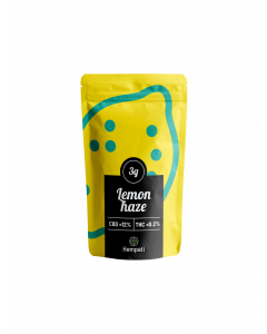 Hempati CBD Blüte 3g Lemon Haze