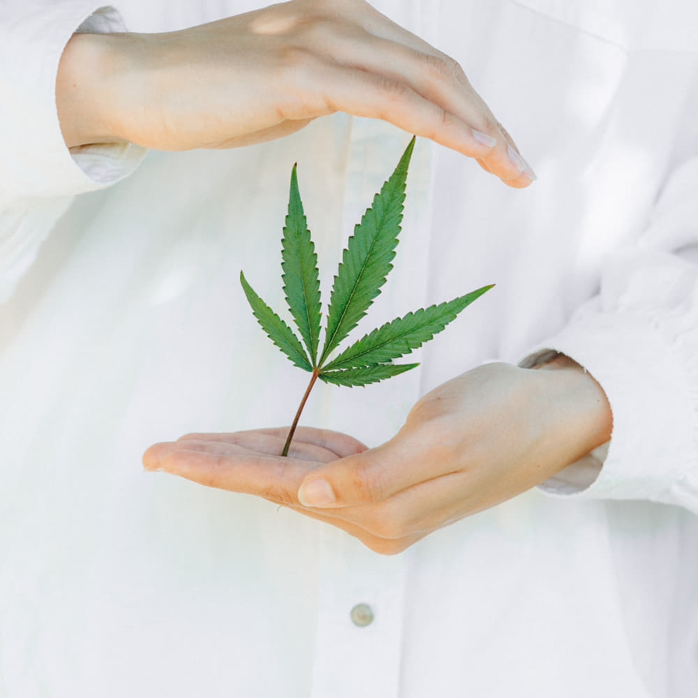 CBD Forschung und Ergebnisse